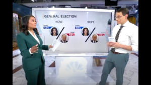 donald-trump-erases-5-point-deficit,-pulls-even-with-kamala-harris-in-new-nbc-poll-(video)-|-the-gateway-pundit-|-by-margaret-flavin