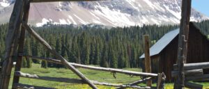 mysterious-group-builds-fence-across-national-forest,-claiming-land-is-theirs-due-to-1862-law