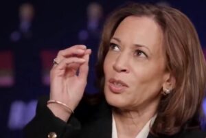 blathering-idiot-kamala-harris-veers-off-script-during-talk-about-“black-agenda”-with-podcaster-(video)-|-the-gateway-pundit-|-by-cristina-laila