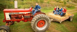 two-boys-die-in-separate-haunted-hayride-accidents-in-twenty-four-hours