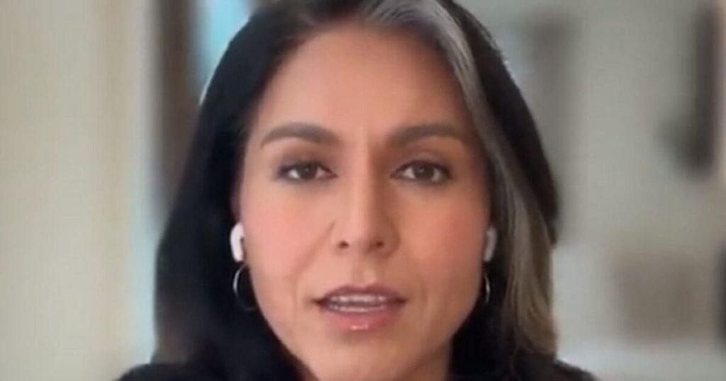 tulsi-gabbard-slams-democrats-for-‘abuse-of-power’-in-pursuit-of-trump,-turning-america-into-a-‘banana-republic’-(video)-|-the-gateway-pundit-|-by-mike-lachance