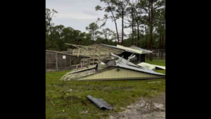 shelter-that-saves-thousands-of-animals-each-year-destroyed-by-tornado-during-hurricane-milton-|-the-gateway-pundit-|-by-margaret-flavin