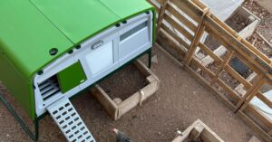 the-predator-proof-chicken-coop-that-makes-backyard-farming-a-cinch