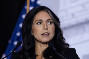 tulsi-gabbard-slams-harris-for-refusing-to-‘own-up’-to-past-in-fox-interview-–-washington-examiner