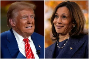 2024-election-polls-‘underestimating’-turnout-for-harris:-historian-–-washington-examiner