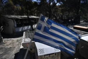 tiktoker-rips-down-greek-flags-after-mistaking-them-for-israel’s-–-washington-examiner