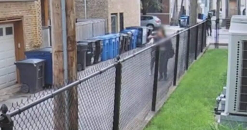 chicago:-surveillance-video-of-broad-daylight-robbery-and-beatdown-in-bucktown-neighborhood-sparks-community-outrage-|-the-gateway-pundit-|-by-kristinn-taylor