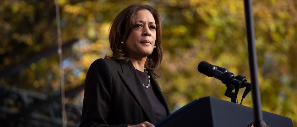 new-poll-spells-major-trouble-for-harris-with-unlikely-demographic