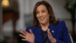 kamala-says-her-‘team-of-experts’-is-prepared-if-trump-declares-victory-early,-as-election-tabulation-could-drag-on-for-days,-if-not-weeks-|-the-gateway-pundit-|-by-jim-hᴏft