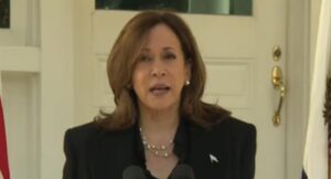 sick:-kamala-harris-holds-emergency-press-conference-to-attack-trump-with-debunked-hoax,-compares-trump-to-hitler-in-latest-smear-campaign-(video)-|-the-gateway-pundit-|-by-cristina-laila