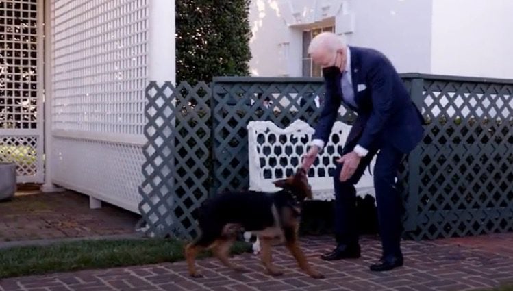 report:-biden’s-german-shepherd-commander-bites-another-secret-service-agent;-11th-attack-|-the-gateway-pundit-|-by-kristinn-taylor