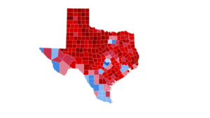 dallas-county-elections-publishes-official-“die-cut”-mail-in-ballots-to-county-website-–-complete-with-signature-endorsement!-|-the-gateway-pundit-|-by-brian-lupo