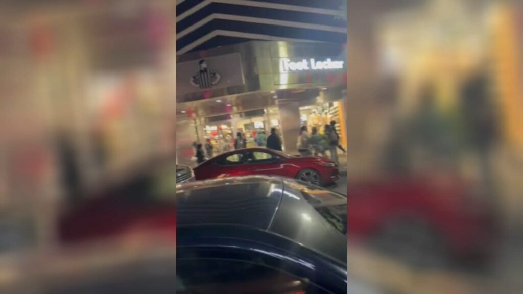 stores-looted-in-philadelphia-by-“large-crowds-of-juveniles”-(video)-|-the-gateway-pundit-|-by-kristinn-taylor