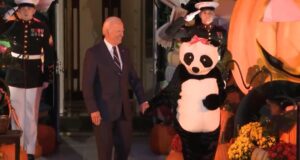 jill-biden-shows-up-to-white-house-halloween-celebration-dressed-as-a-giant-panda-(video)-|-the-gateway-pundit-|-by-cristina-laila