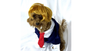 ‘trumpie-dog’-wishes-you-happy-halloween-2024!-|-the-gateway-pundit-|-by-jim-hoft