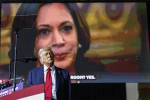 democrats-say-they’ll-accept-a-kamala-harris-defeat-–-washington-examiner