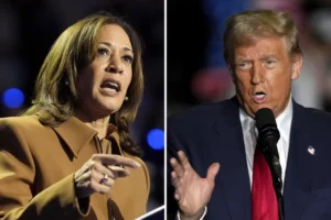 vaunted-harris-turnout-machine-seeks-to-steamroll-trump-in-battleground-states-–-washington-examiner