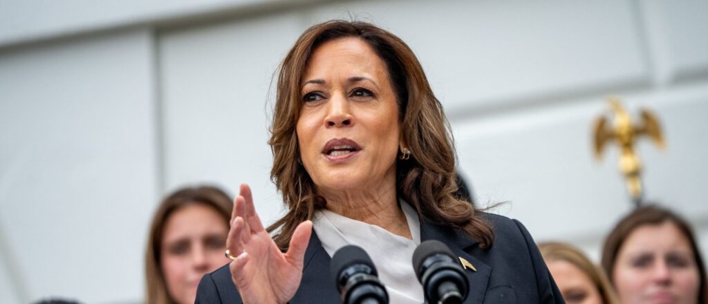 how-biden-harris-admin-used-public-funds-to-mobilize-pro-democratic-voting-blocs-ahead-of-election