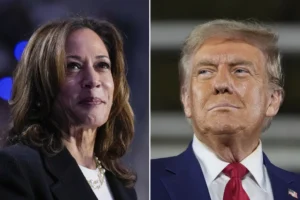 harris-and-trump-take-radically-different-paths-to-try-to-reach-white-house-–-washington-examiner