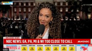 watch:-msnbc-reporter-says-crowd-at-kamala-harris’s-election-rally-is-‘nauseously-optimistic’-|-the-gateway-pundit-|-by-cassandra-macdonald