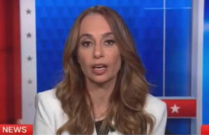 brutal:-cnn-hosts-absolutely-silent-as-democrat-strategist-delivers-some-‘hard-truths’-to-her-party-(video)-|-the-gateway-pundit-|-by-mike-lachance