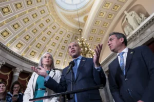 house-democrats-schedule-leadership-elections-–-washington-examiner