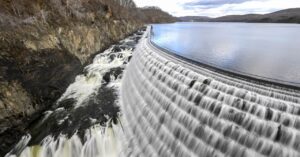 invasive-species-are-threatening-the-quality-of-new-york’s-tap-water