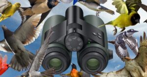 i-went-birding-with-the-world’s-first-ai-powered-binoculars