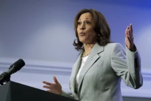 former-harris-aide-suggests-plan-in-which-she-can-become-47th-president-even-after-election-defeat-–-washington-examiner