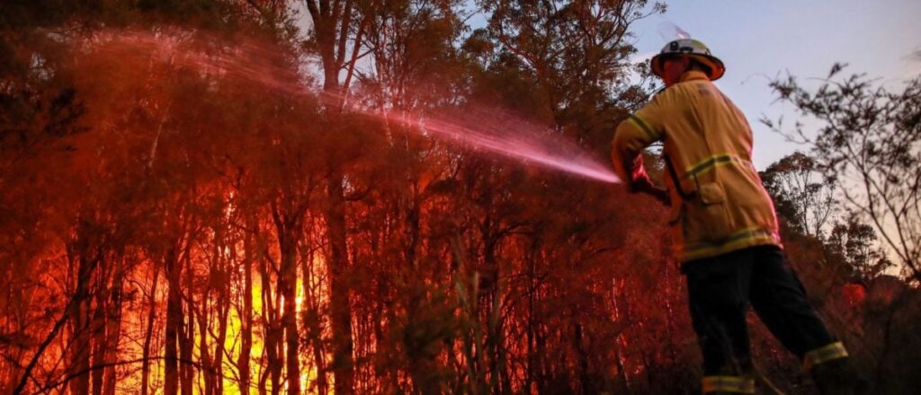 ‘a-hero’:-teenage-varsity-athlete-volunteering-as-forest-ranger-dies-battling-new-york-wildfire