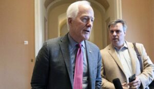 texas-republican,-gun-rights-groups-oppose-cornyn-as-senate-majority-leader-–-washington-examiner