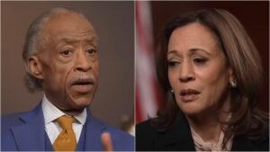 kamala-harris-campaign-funneled-$500k-to-al-sharpton’s-nonprofit-just-weeks-before-softball-interview-with-race-grifter-msnbc-host:-report-|-the-gateway-pundit-|-by-jim-hᴏft