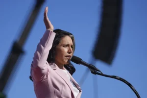 tulsi-gabbard-faces-tough-road-to-confirmation-as-us-intelligence-chief-–-washington-examiner