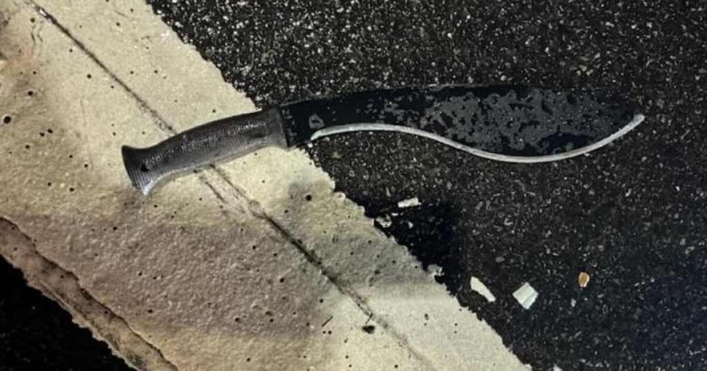 nyc-professor-who-held-machete-to-reporter’s-throat-back-teaching:-report