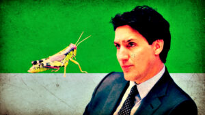 globalist-trudeau-went-all-in-with-feeding-insects-to-canadians-–-embattled-prime-minister-blew-$9-million-in-failed-edible-cricket-factory-|-the-gateway-pundit-|-by-paul-serran