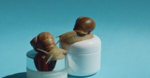 why-snail-mucin?-or,-how-this-ancient-practice-became-a-skin-care-sensation