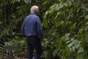 biden-‘wandering-off’-into-amazon-rainforest-goes-viral-–-washington-examiner