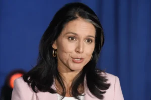 progressive-senators-‘distrustful’-of-tulsi-gabbard-ahead-of-dni-vote-–-washington-examiner