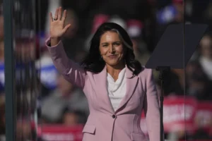 privacy-hawks-tout-tulsi-gabbard-nomination-as-check-on-government-spy-powers-–-washington-examiner