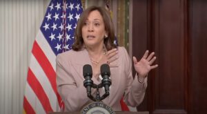 insanity:-poll-finds-democrat-voters-want-kamala-harris-to-be-their-nominee-again-in-2028-|-the-gateway-pundit-|-by-cassandra-macdonald