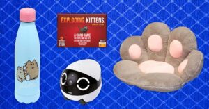 22-best-gifts-for-cat-lovers
