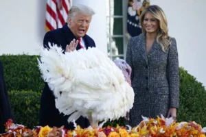 how-the-white-house-thanksgiving-turkey-pardon-came-to-be-–-washington-examiner