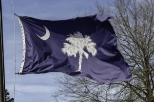 entire-police-department-resigns-from-south-carolina-community-–-washington-examiner