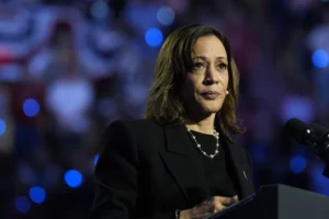 harris’s-postelection-relaunch-turns-out-to-be-a-thanksgiving-turkey-–-washington-examiner