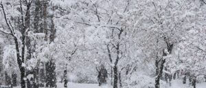 winter-storm-hits-huge-swaths-of-united-states,-leaves-chaos-for-travelers