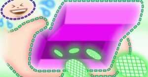 a-kid-made-$50,000-dumping-crypto-he’d-created.-then-came-the-backlash