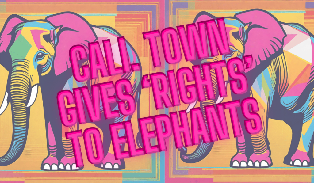 you-can’t-make-this-up:-california-town-to-recognize-“animal-rights”-starting-with-elephants-|-the-gateway-pundit-|-by-benjamin-wetmore