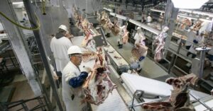 us-meat,-milk-prices-should-spike-if-donald-trump-carries-out-mass-deportation-schemes