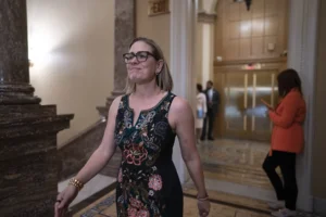 sinema-returns-from-mysterious-absence-to-tank-biden-labor-nominee-–-washington-examiner