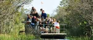 chaos-ensues-after-two-florida-airboats-crash,-sending-16-people-to-hospital